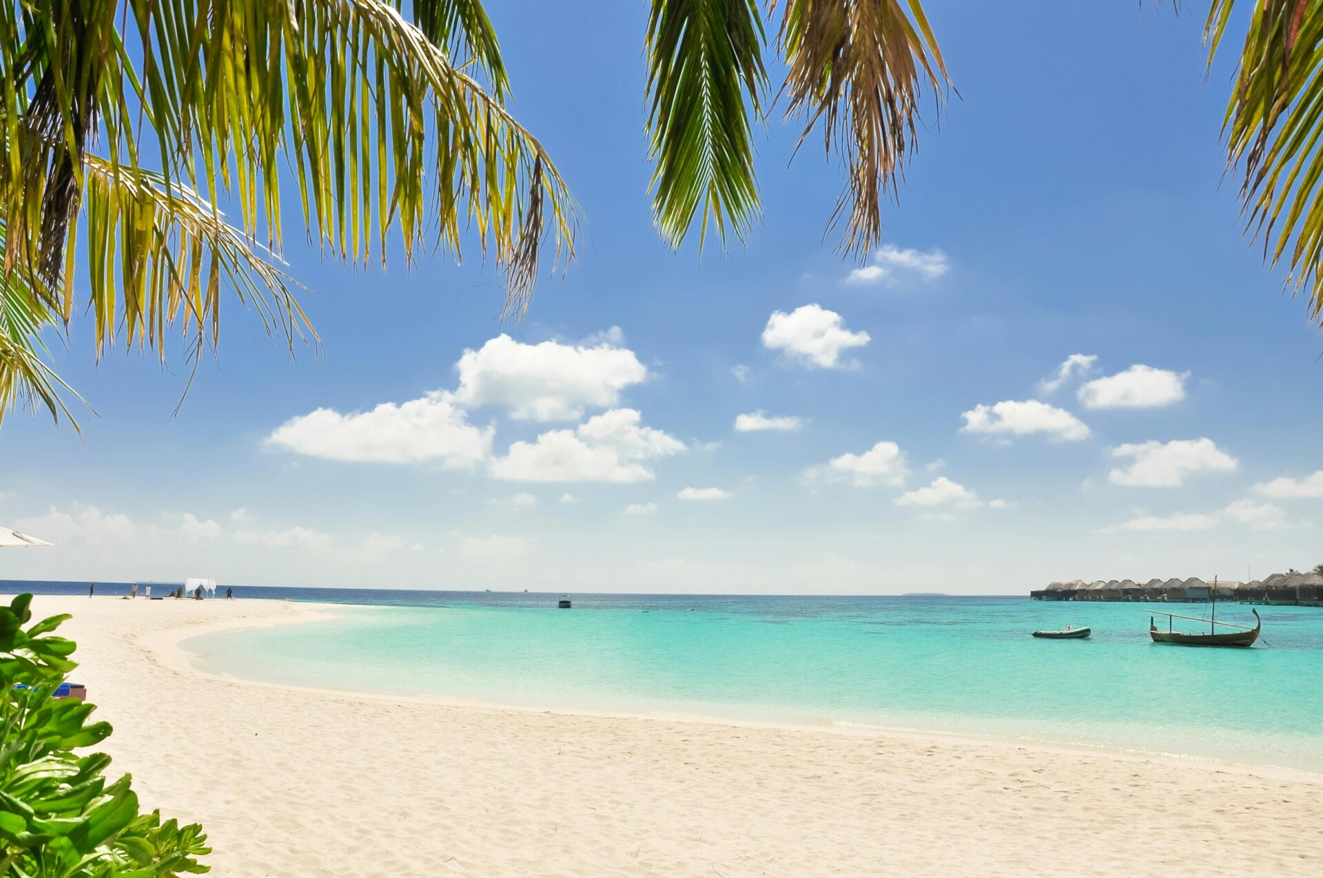 Caraïbes
